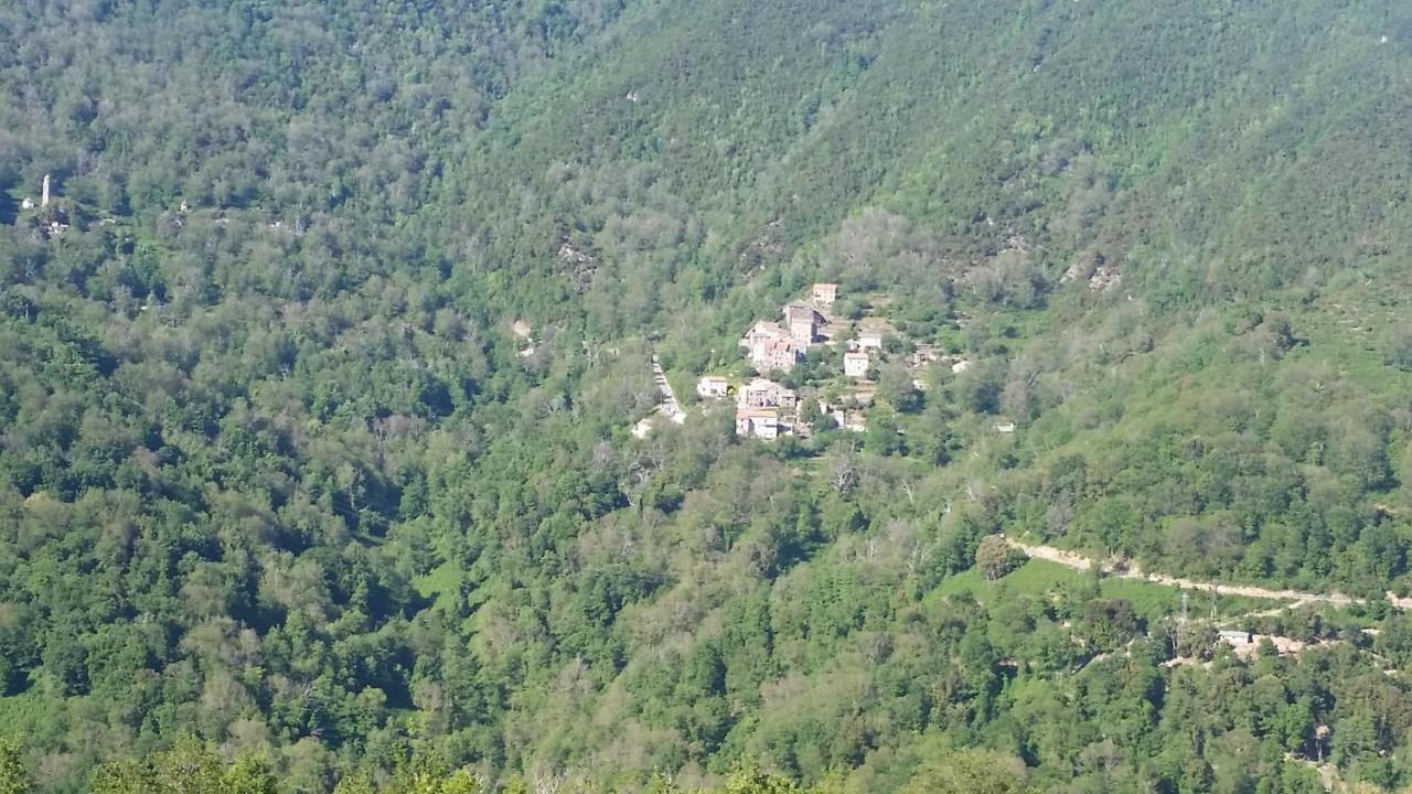 La Source 8 Ou 6 Couchages Villa Valle d'Alesani Bagian luar foto